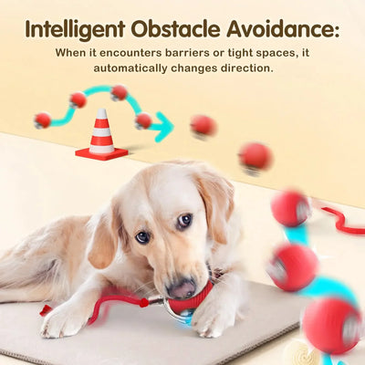 Rechargeable Smart Pet Interactive Toy,Cat Interactive Ball Toy, Automatic Rolling Ball with Tail, , Intelligent Mouse for Cat