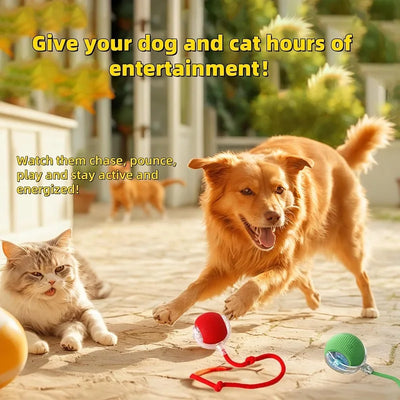 Automatic Smart Toys For Cats Magic Dog Toys Rolling Ball For Indoor Cat Training 360° Smart Automatic Rolling Ball Pet Product
