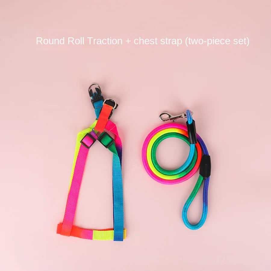 Dog Pet Leash + Harness Two-Piece Set Cat Leash Colorful Pet Harness Round Rainbow Color Cat Leash Dog Chain