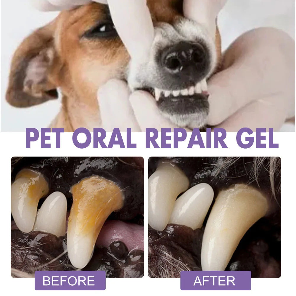 Dog Oral Repair Gel Pet Tooth Repair Teeth Tartar Cleaner for Dog No Need to Brush Teeth Pet Breath Freshener Gel Care Cleaner