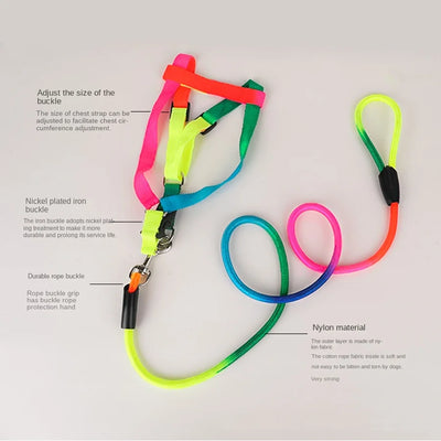 Dog Pet Leash + Harness Two-Piece Set Cat Leash Colorful Pet Harness Round Rainbow Color Cat Leash Dog Chain