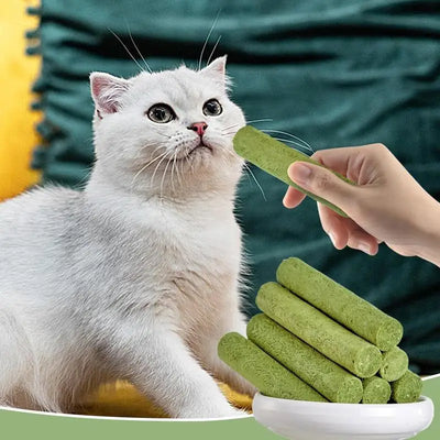 Cat Grass Sticks Freeze Dried Snacks Catnip Biscuits Teething Digestive Aid Scientific Ratio Nutrition Fattening Pet Foods