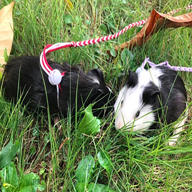 1.4m Adjustable Rabbit Hamster Harness Leashes Outdoor Leads Small Animal Pet Accessories Gerbil Cotton Ropes Harness Lead