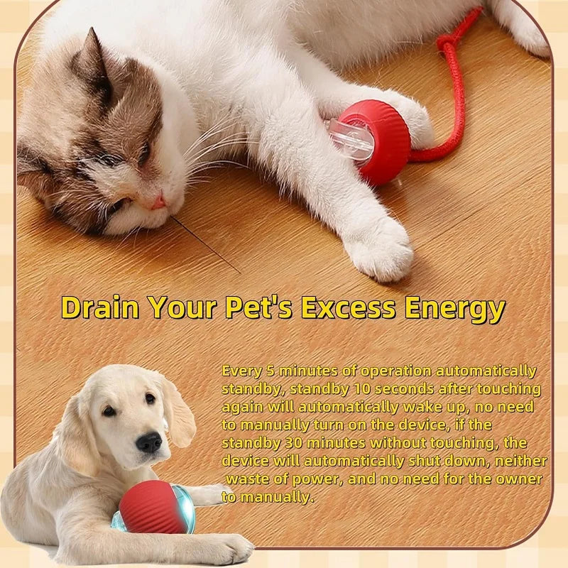 Automatic Smart Toys For Cats Magic Dog Toys Rolling Ball For Indoor Cat Training 360° Smart Automatic Rolling Ball Pet Product