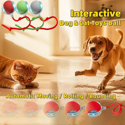 Automatic Smart Toys For Cats Magic Dog Toys Rolling Ball For Indoor Cat Training 360° Smart Automatic Rolling Ball Pet Product