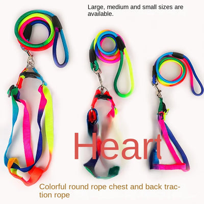 Dog Pet Leash + Harness Two-Piece Set Cat Leash Colorful Pet Harness Round Rainbow Color Cat Leash Dog Chain