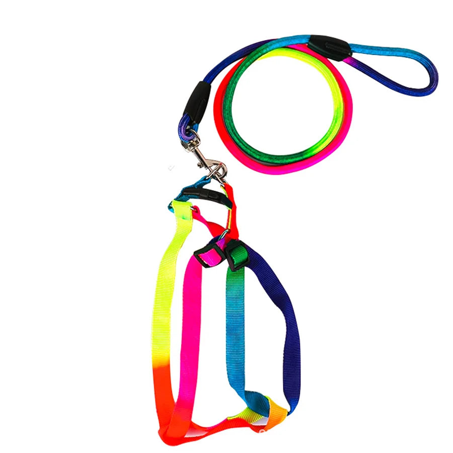 Dog Pet Leash + Harness Two-Piece Set Cat Leash Colorful Pet Harness Round Rainbow Color Cat Leash Dog Chain