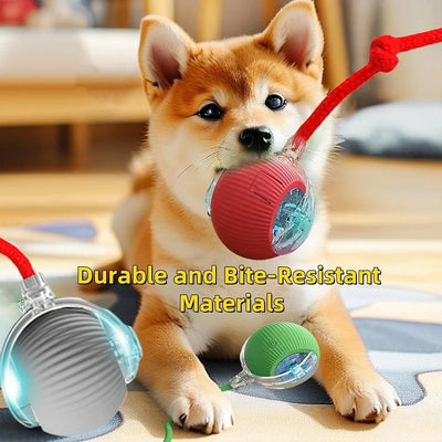 Automatic Smart Toys For Cats Magic Dog Toys Rolling Ball For Indoor Cat Training 360° Smart Automatic Rolling Ball Pet Product