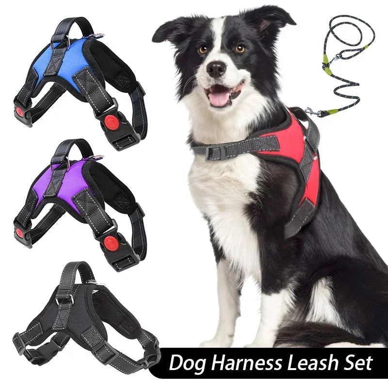 Dog Harness And Leash Set No Pull Adjustable Comfortable with Easy Control Handle Outdoor Running Walking Hand Free Lead Leash