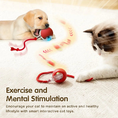 Rechargeable Smart Pet Interactive Toy,Cat Interactive Ball Toy, Automatic Rolling Ball with Tail, , Intelligent Mouse for Cat